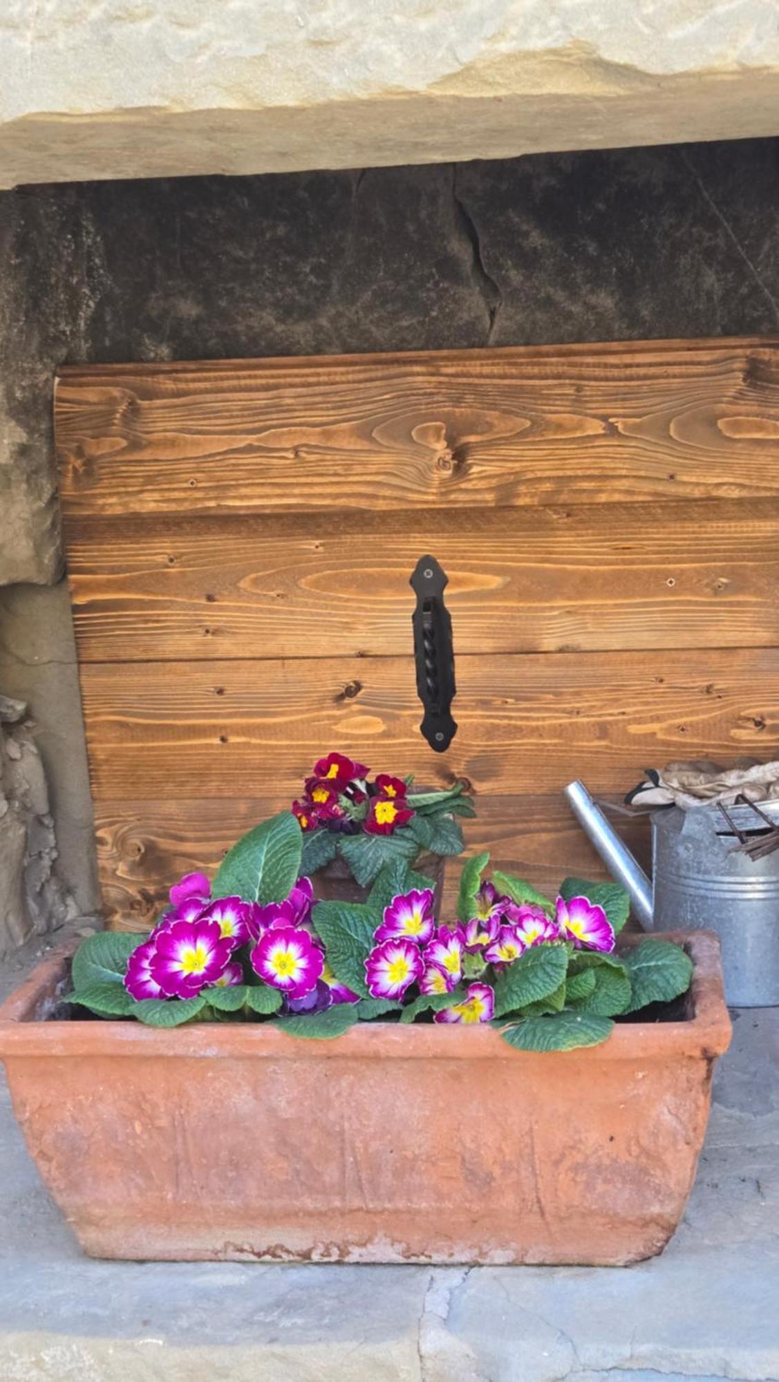 מראדי Borgo Corniola B&B Naturista מראה חיצוני תמונה