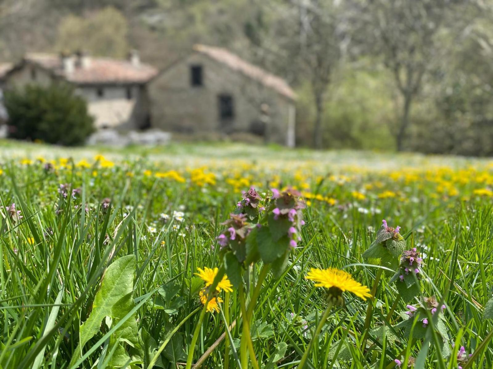 מראדי Borgo Corniola B&B Naturista מראה חיצוני תמונה
