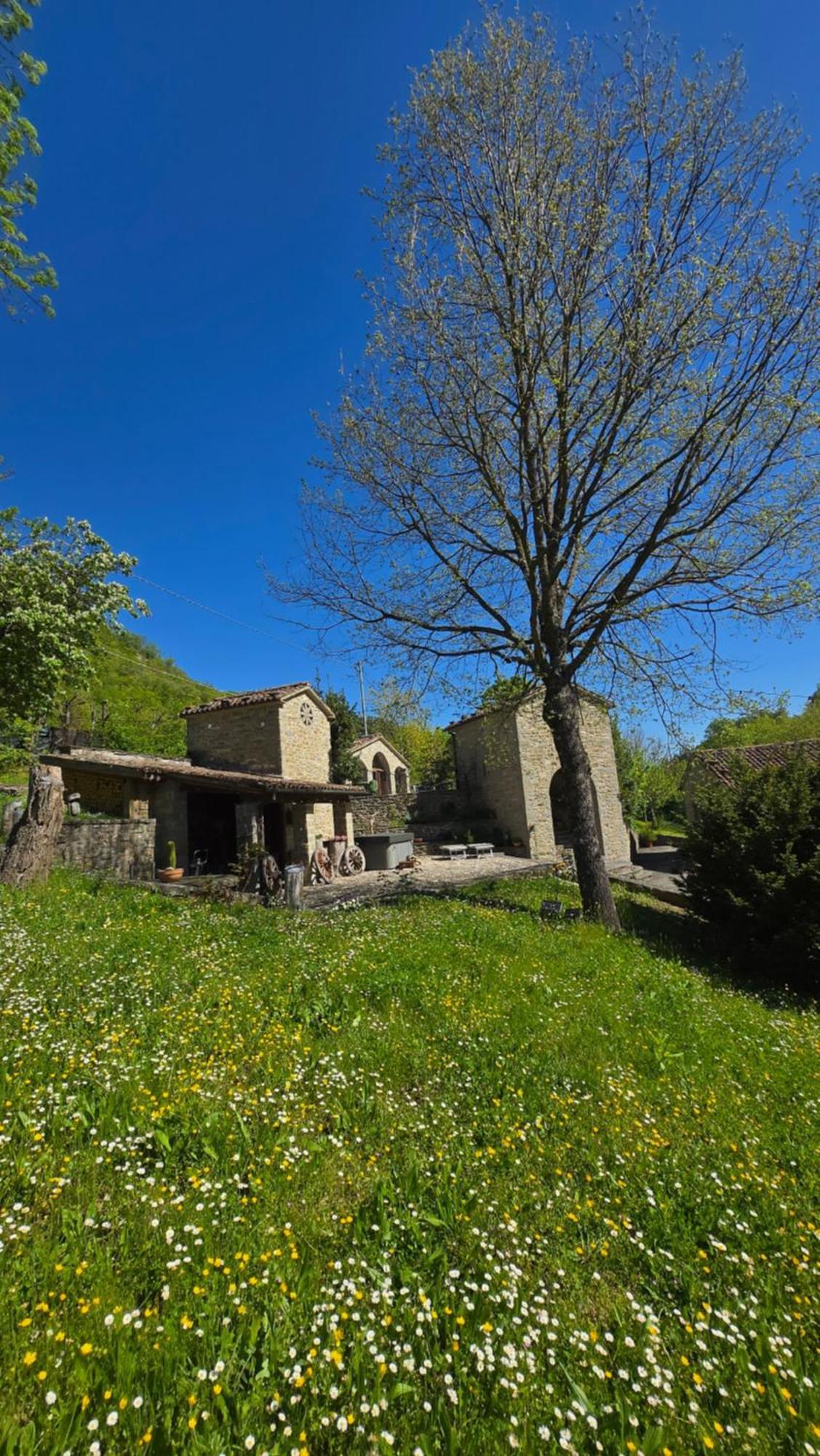 מראדי Borgo Corniola B&B Naturista מראה חיצוני תמונה